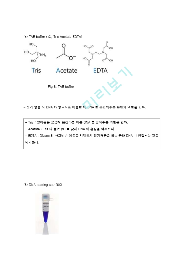 중합효소연쇄반응 PCR (Polymerase Chain Reaction) 결과레포트 [A＋].hwp